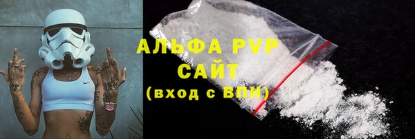 PSILOCYBIN Белокуриха