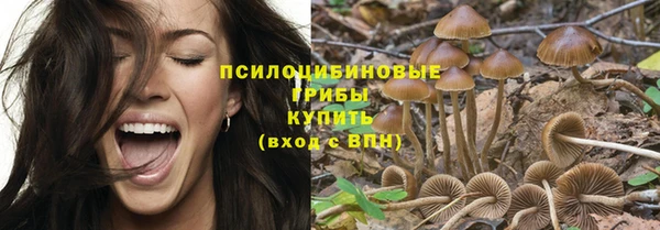 PSILOCYBIN Белокуриха