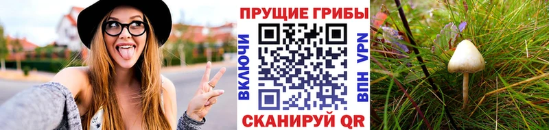 гидра как войти  Белорецк  Галлюциногенные грибы MAGIC MUSHROOMS 